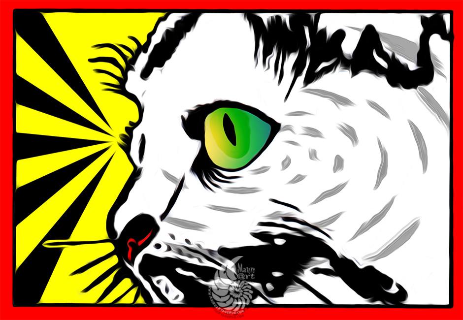 gatto